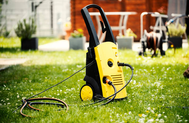 Best Spring Cleaning  in Dassel, MN